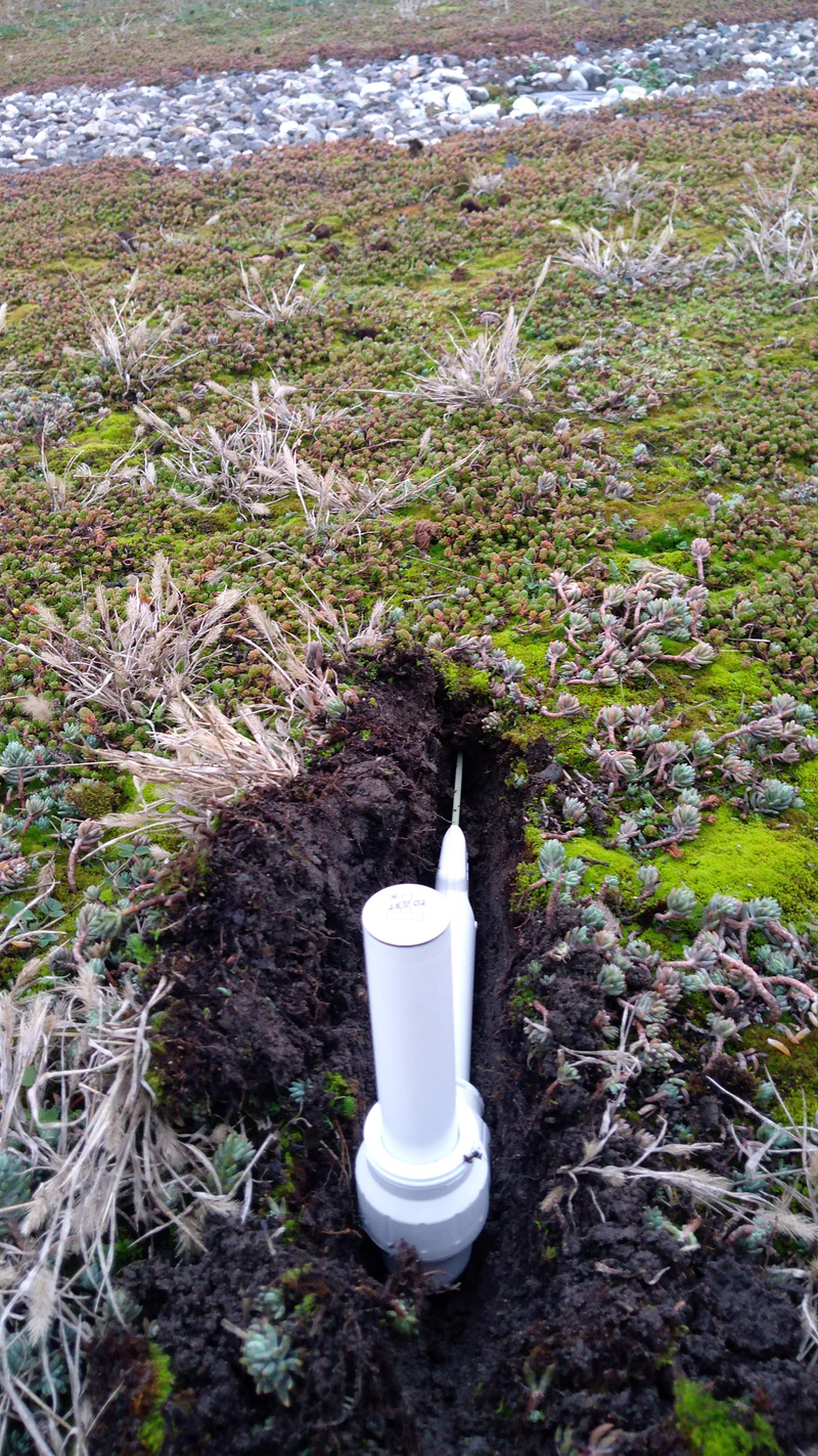 TMS Bend installed in soil, its body and cap above the surface