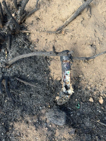 A burned TMS datalogger, its body blistered by the heat