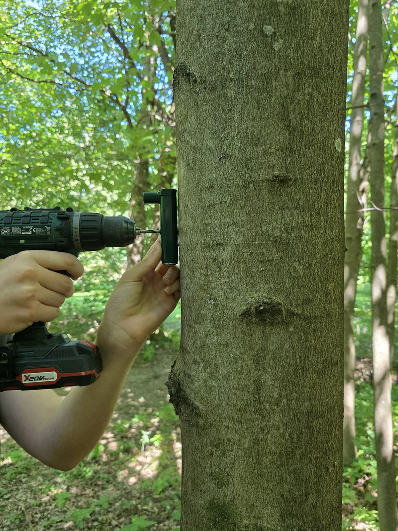 Aligning the drill bit against the stem