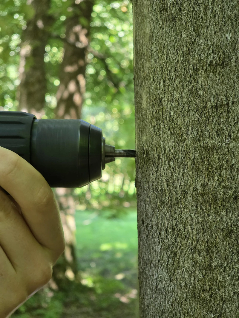 Drill bit at full depth in the stem