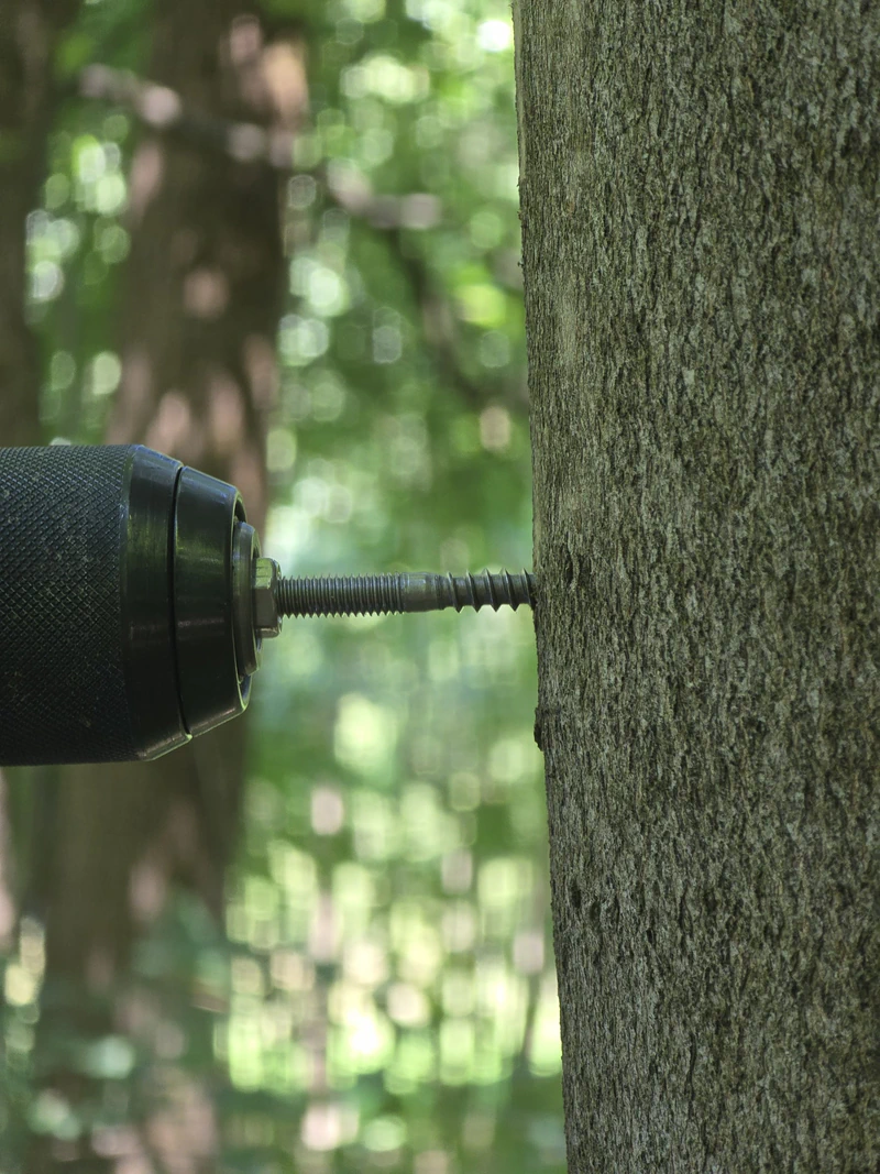 Driving the mounting screw into the pre-drilled hole