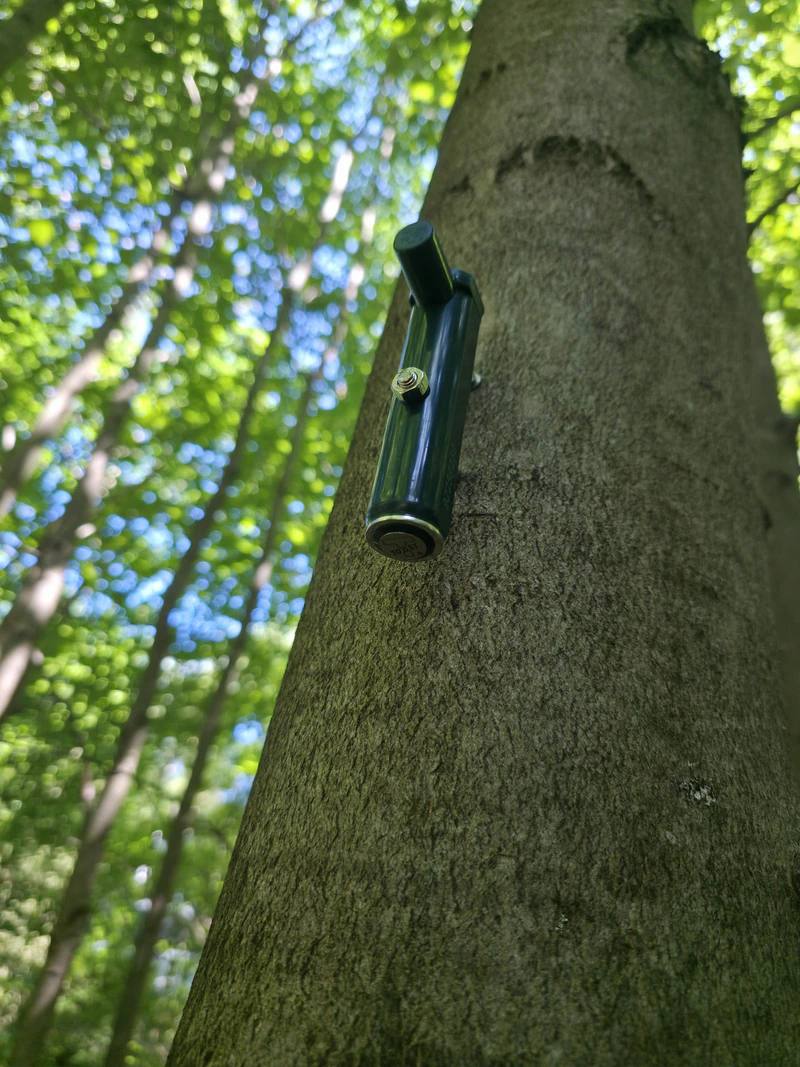 Point Dendrometer on a stem seen from below