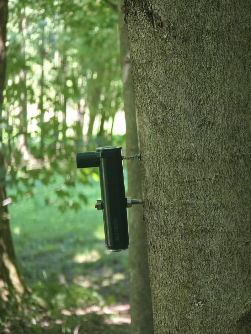 Point Dendrometer installed on a tree, wider view