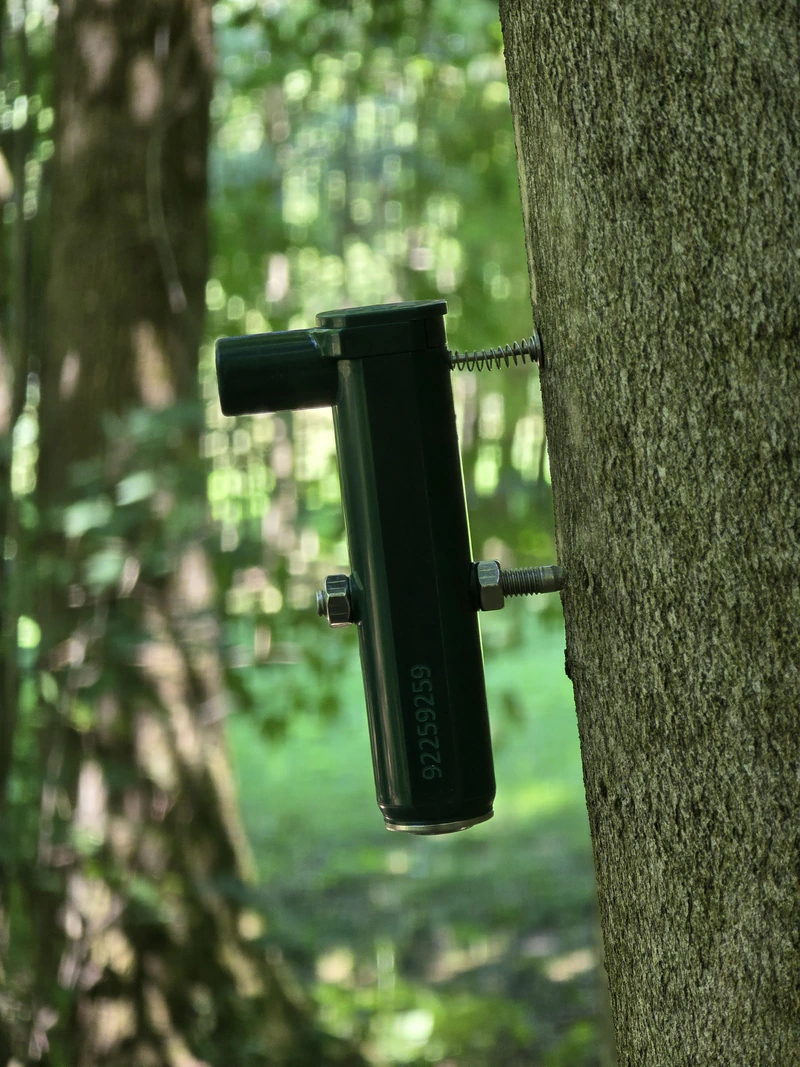 Point Dendrometer installed on a stem